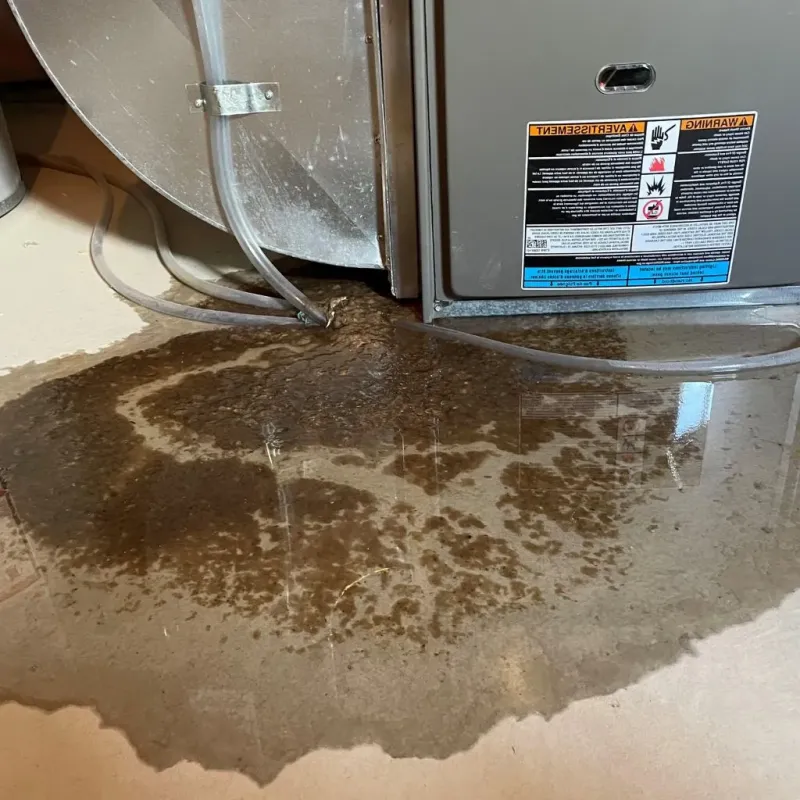 Pipe Burst and Leak Restoration in Exeter, PA