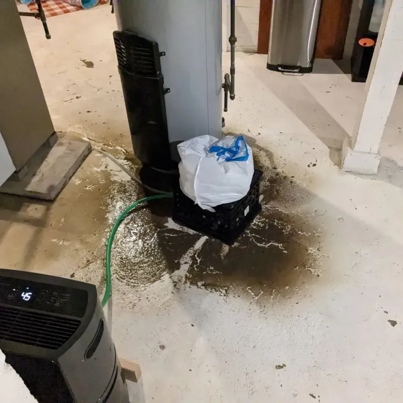 Sewage Backup Cleanup Service in Exeter, PA